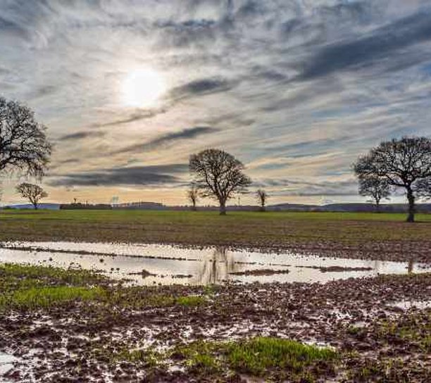 agricultural runoff