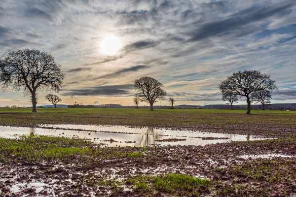 agricultural runoff