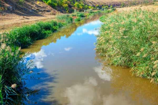 silt water pollution